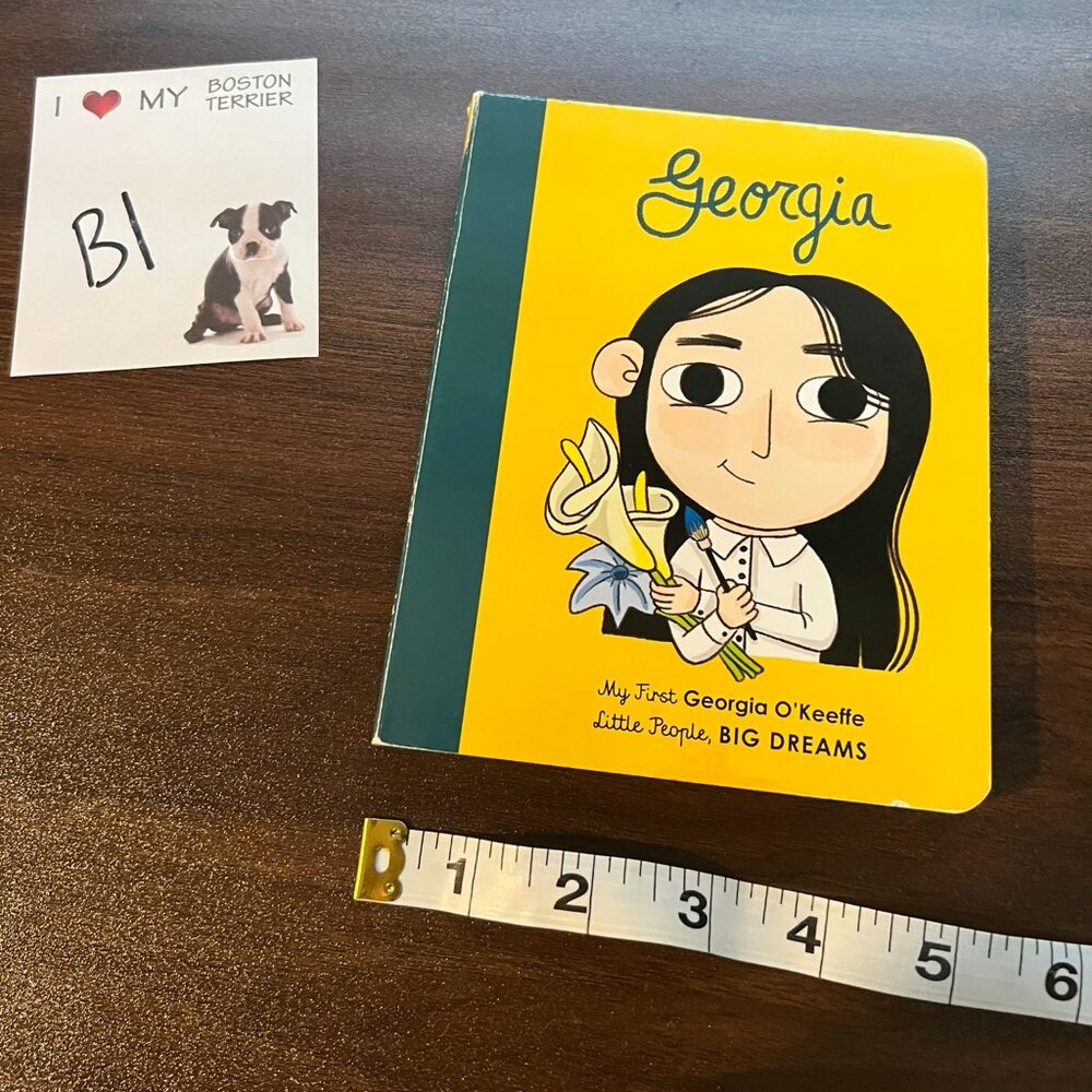 5/$20 Children's Georgia O'Keeffe Little People, Big Dreams Book